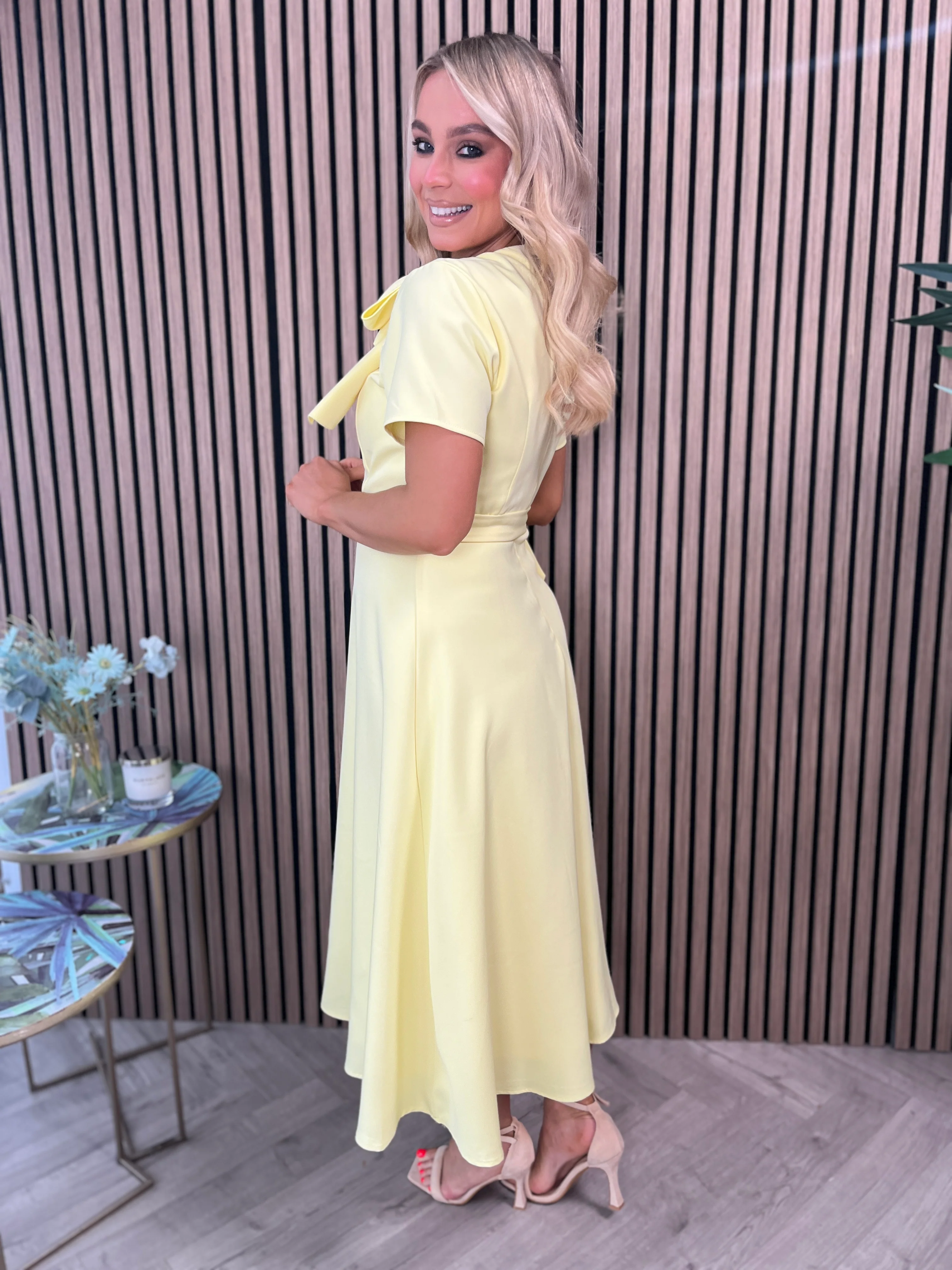 Sorelle Midi Dress - Image 5